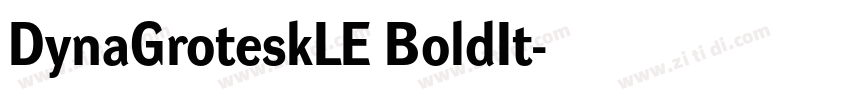 DynaGroteskLE BoldIt字体转换 DynaGroteskLE BoldIt字体转换